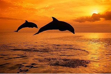 IGN公开《神之亵渎2》16分钟试玩演示视频